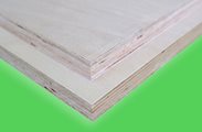 Beech plywood F / W  27 mm